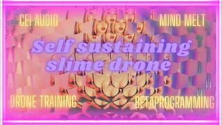 Self Sustaining Slime Machine, Audio, Drone Training