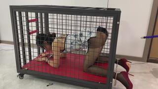 A woman in a cheongsam, black stockings, and high heels is subjected to dog cage discipline