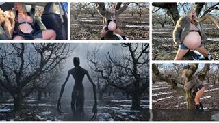 Conception. When the internal comes out SD