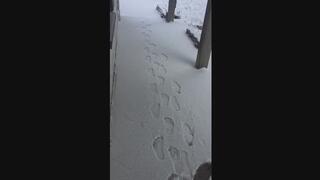 SNOW FOOTPRINTS