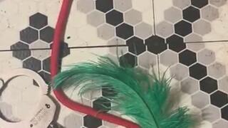 Is BDSM Fetish Fun MP4?