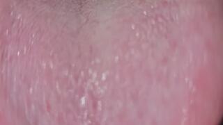 Vore - Let me gobble you up