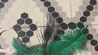 Master in bondage story MP4