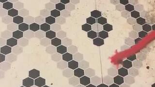 Tied up and helpless story MP4