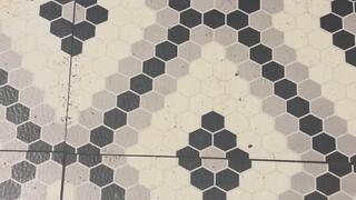 Electric Shock Story MP4