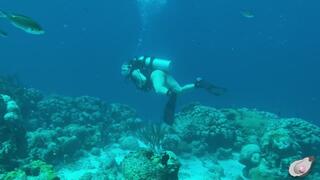 Alone Time in Bonaire