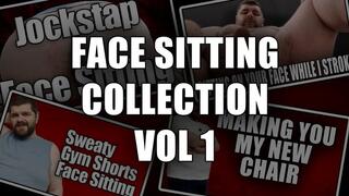 Face Sitting Compilation Volume 1 - Full HD 1080p - KingMarti