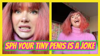 SPH Your Tiny Penis Is a Joke. I Own It.