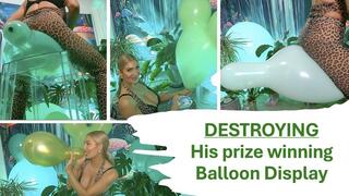 Destroying his Balloon Display - MASS POP, S2P, B2P, Nail Pops, Foot Squish, Overinflate2pop