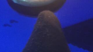 ROLEPLAY MINECRAFT CAMPFIRE