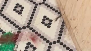 Real Sexy BDSN Instruction MP4