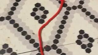 Classic Bondage Fetish MP4