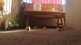 Bare feet crushing trampling and grinding with soles (7)