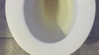 GOLDEN PEE VIRTUAL GIRLFRIEND