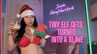 The Man Who Was Tricked into Becoming a Tiny Elf