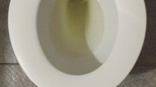 GOLD PEE MONEY DRAIN