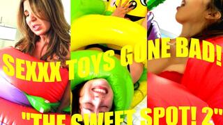 SeXXX Toys Gone Bad! The Sweet Spot Combo 2 (MP4)
