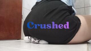 Crushed by a butt in short shorts