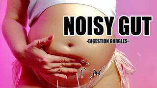 Noisy Gut - Belly Gurgles, Digestion Squelching, and Bubbling Sounds