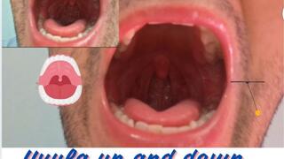 Úvula up and down