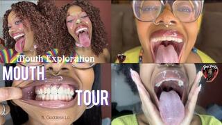 2025 Mouth Tours in 25 Mins