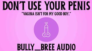 Don't Use Your Penis Audio