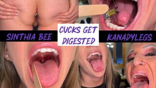 Cuck Digestion Domination:Kandy & Sinthia Devour And Digest