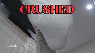 POV Giantess Fetish: Shrunken Best Friend Crushed