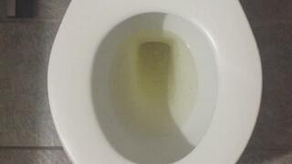 TOILET GOLDEN PEE