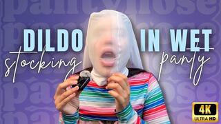 dildo in wet stocking panty