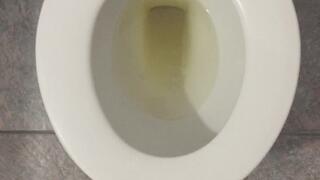 MONEY DRAIN GOLD PEE