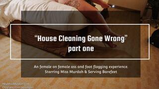 House Cleaning Gone Wrong pt 1 4K
