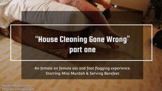 House Cleaning Gone Wrong pt 1 HD