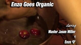 Enzo Goes Organic