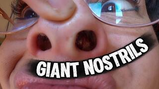 POV Giant snot-filled nostrils, pig nose in close-up