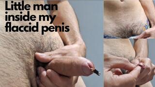 Little man inside my flaccid penis