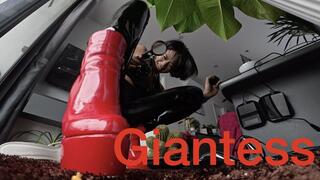 Angry giantess crushed all tiny men in her house