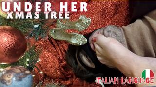 UNDER HER CHRISTMAS TREE - FOOT FETISH, HUMILIATION, JERK OFF - HD 1080p