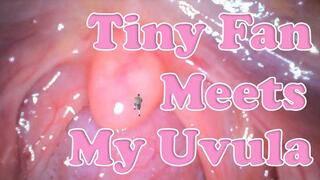 Tiny Fan Meets My Uvula