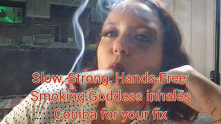 Slow, Strong, Hands-Free: Smoking Goddess inhales Cohiba for your fix - SGL182