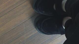 CHESTNUT HARDWOOD NATURAL SUNLIGHT