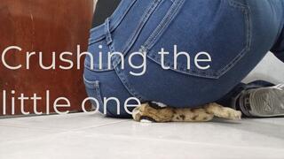 Small, squashed in jeans