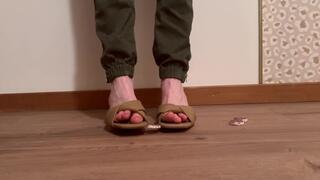 Requête *** Mia et les amis salami *** request