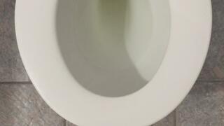 I PEE GOLD FULL TOILET