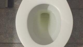 I PISS GOLD FULL TOILET