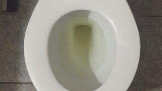 TOILET FULL OF GOLD PISS