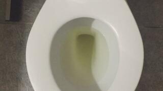 TOILET FULL OF GOLD PEE