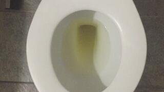GOLDEN PISS IN FULL TOILET