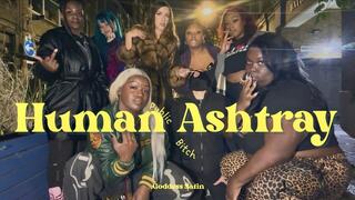 Public White Human Ashtray Bitch | Goddess Satin Group Domination Humiliation Smoking Fetish Spit Spitting Hot Dommes Female Domination Femdom Interracial Multiple London Slave Submissive Training