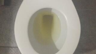 GOLDEN PEE & FLUSH